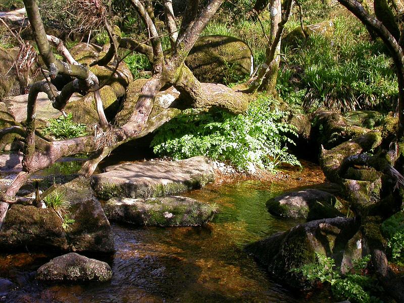 The River at Huccerby Bridge.jpg